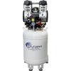 80% Dry Air  Auto Drain  110v