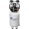 80% Dry Air  Auto Drain  220v