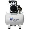 98% Dry Air  Auto Drain  110v